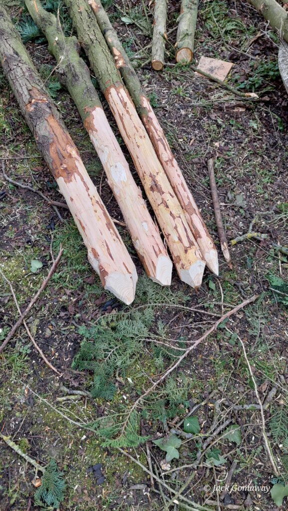 Nous avons un ecorceur manuel et une mini tronçonneuse sur batterie